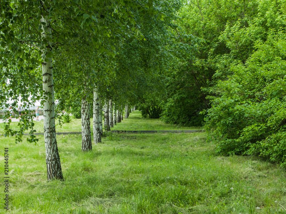 part of the waterfront landscape