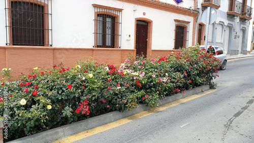 Edificios urbanos