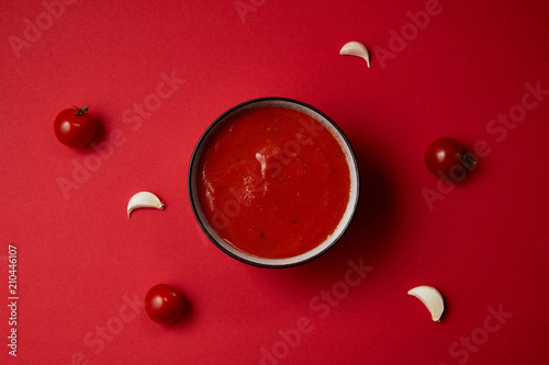 top view of tasty tomato soup in plate and scattered garlic and tomatoes on red table © LIGHTFIELD STUDIOS