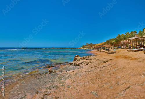 Sea cliff with umbrellas  deep blue sea  palm trees  foliage and clear blue sky 