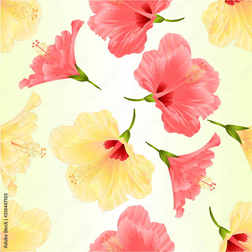 Seamless texture pink and yelow tropical plant hibiscus   on a white background  vintage vector illustration editable hand draw