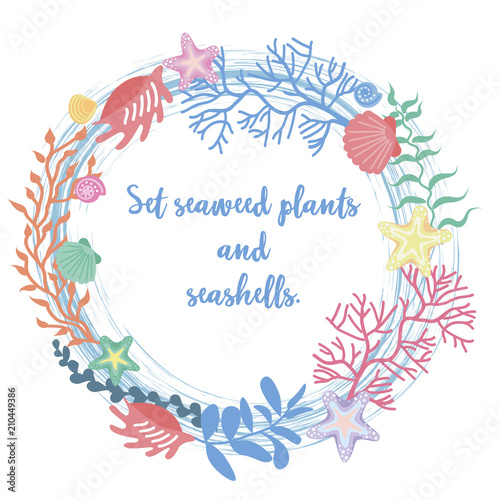 Wallpaper Mural Frame of seaweed, coral and shells. Vector illustration Torontodigital.ca