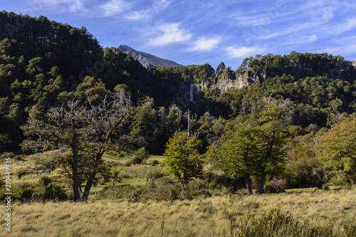 Lanin National Park, Patagonia, Argentina