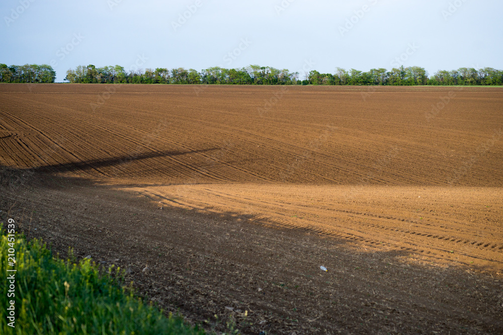 plowed field in spring