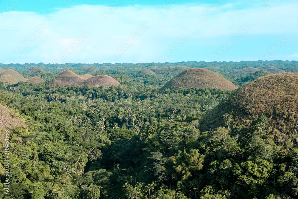 Bohol Chocolate Mountains