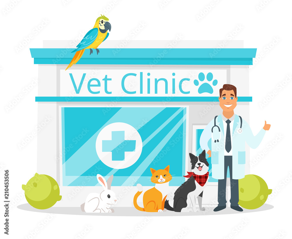 vet clinic with doctor vet clinic with doctor
