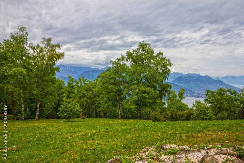Green shore of Maggiore lake, Stresa, Lombardy, Italy