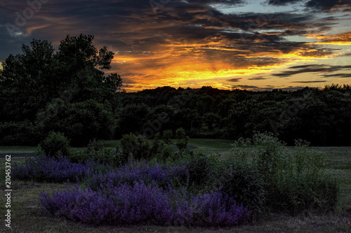 Sunset at the park
