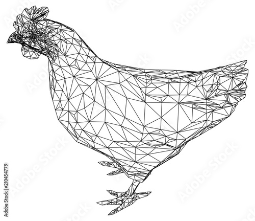 Chicken hen polygonal lines illustration. Abstract vector hen on the white background
