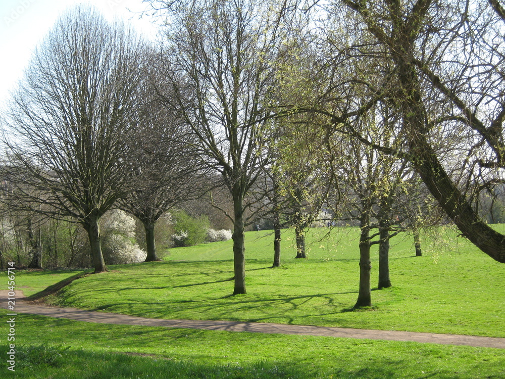 Park in spring