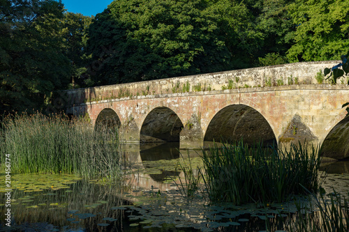 Obraz na płótnie Blandford Forum, Dorset, England w salonie