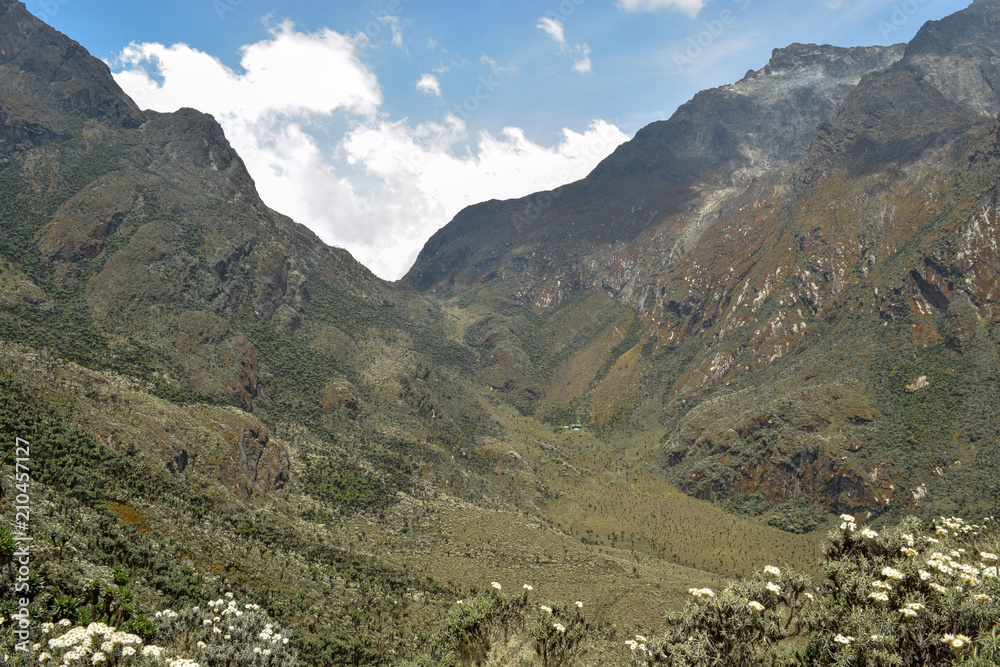Upper Bujuku Valley with Mount Stanley and Mount Speke at the background, Rwenzori Mountains, Uganda