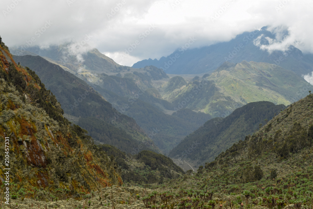 Bujuku Valley with a Mountain Background in the Rwenzori Mountains National Park, Uganda