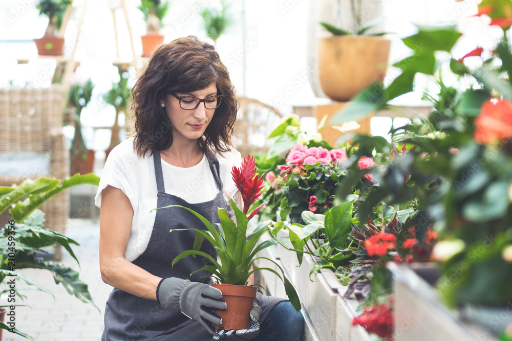 Floristin konzentriert bei der Arbeit