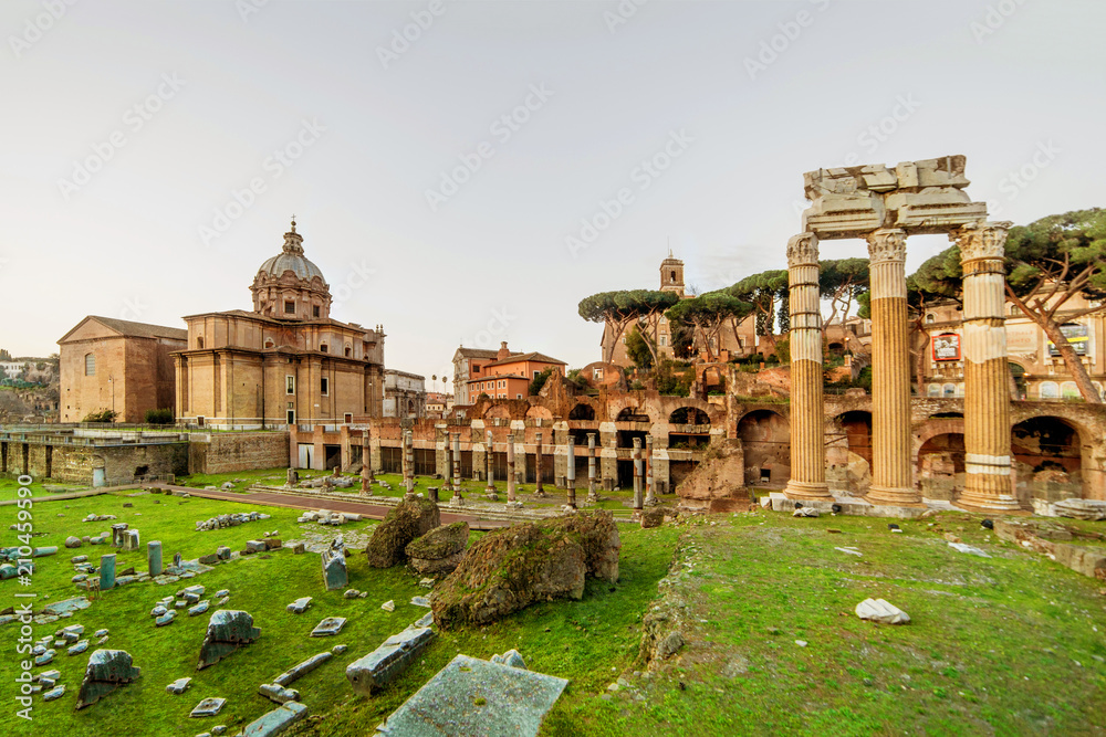 Roman Forum in Rome, Italy. Rome Forum at  summer day  in early morning