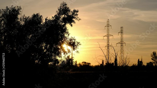 A silhouette of a branchy tree, standing against the sunset and antennas
