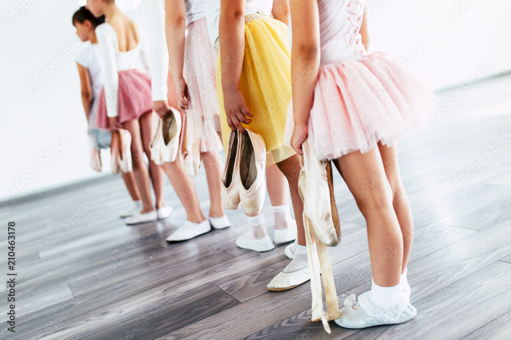 Obraz premium Group of beautiful little girls practicing ballet at dancing class.