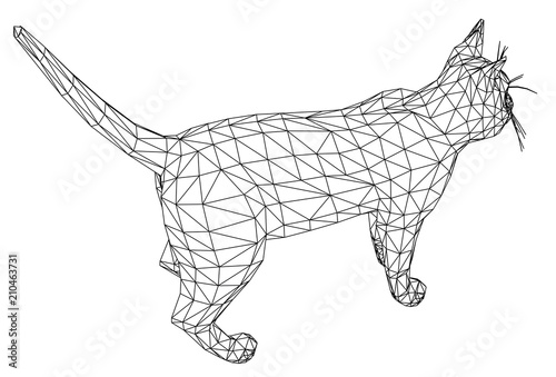 Cat polygonal lines illustration. Abstract vector cat on the white background
