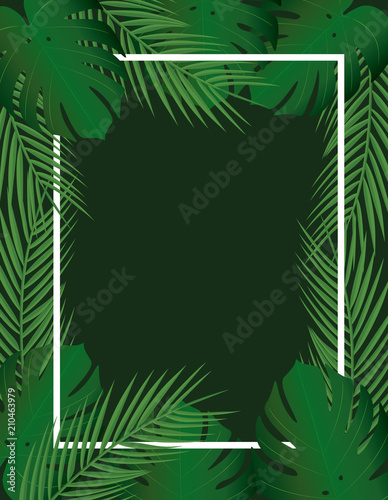 Tropical leaf frame. vector illustration