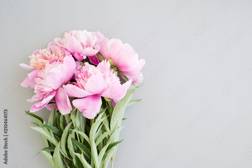 Bouquet of pink peonies on a gray surface, top view, copy space