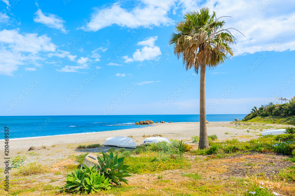 Palm tree and fishing boat on beautiful beach in small coastal village near Marbella on Costa de Sol, Spain