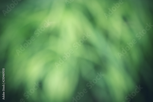 Natural green abstract spring background