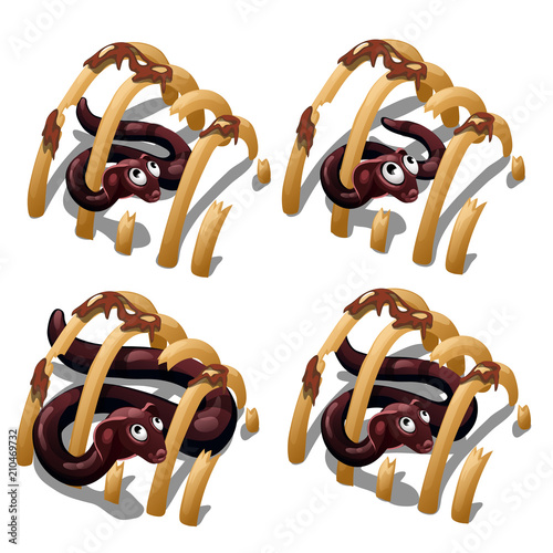 Housing a snake in the remains of an animal isolated on white background. Vector cartoon close-up illustration.