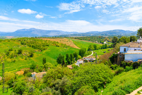 Green landscape of Spanish countryside in Ronda town, Andalusia, Spain