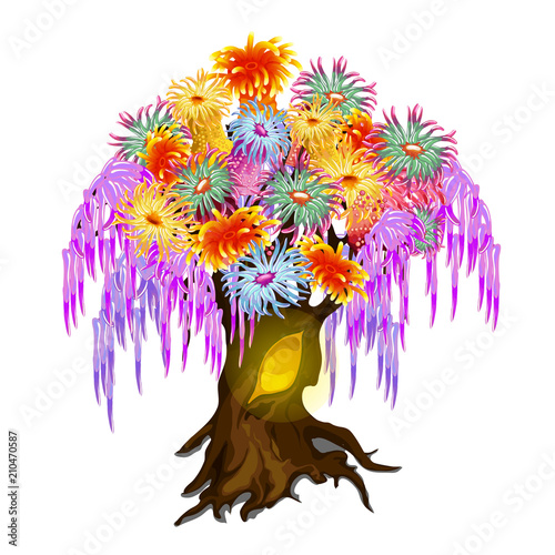 Fancy wood, covered with coelenterates mollusks with colorful tentacles isolated on white background. Vector cartoon close-up illustration.