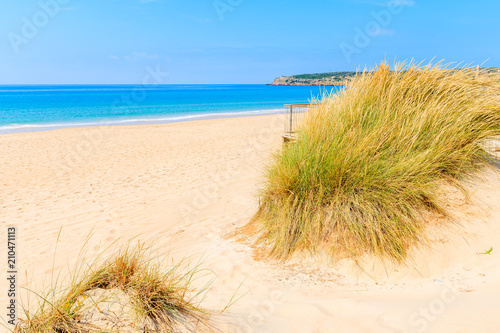 Grass sand dune and blue sea view on white sand Bolonia beach, Andalusia, Spain