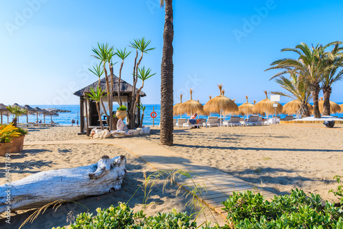 Palm trees and sunbeds on beautiful beach near Marbella, Andalusia, Spain photo