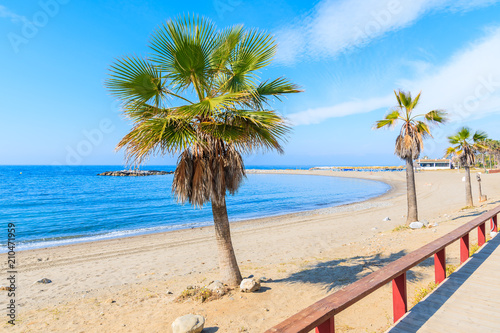 View of beautiful sandy beach with palm trees near Marbella town, Andalusia, Spain