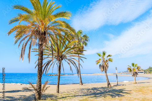 Tropical palm trees on beautiful sandy beach near Marbella town, Andalusia, Spain