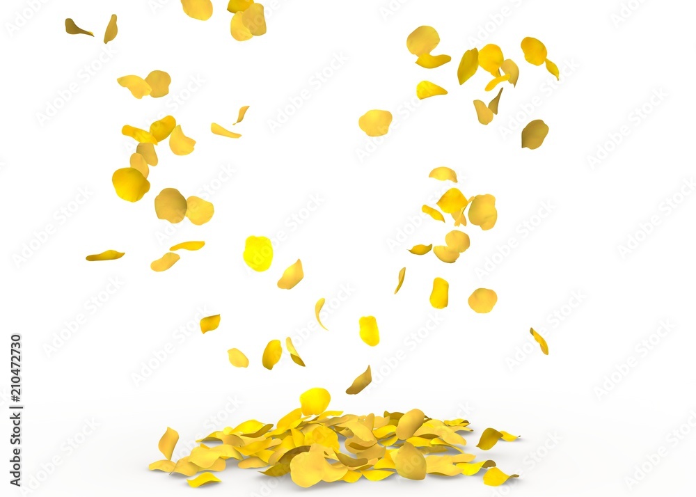 Rose petals fall to the floor Rose petals fall to the floor