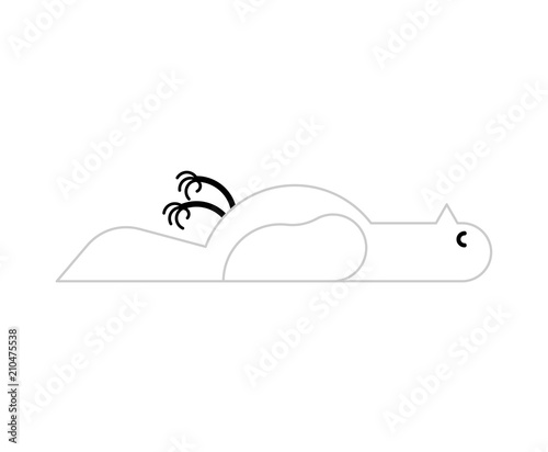 Dead white dove isolated. Corpse pigeon. Vector illustration