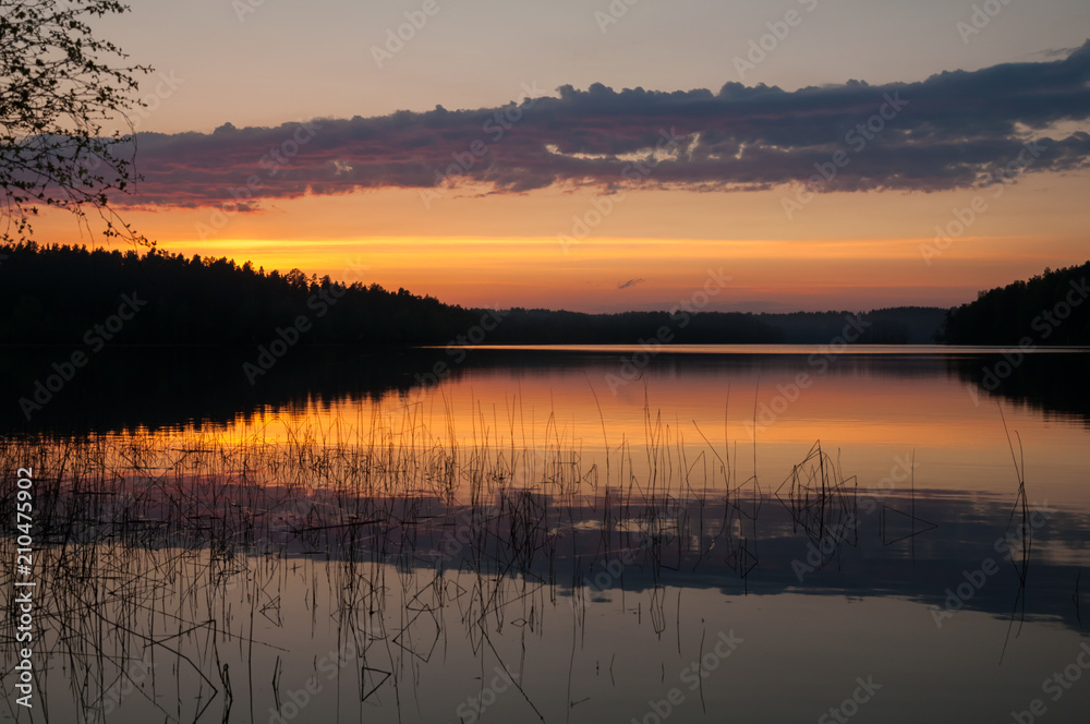 Beautiful sunset on the lake. Reeds in the water, forest and red orange and pink cloudy sky. Beautiful sunset on the lake. Reeds in the water, forest and red orange and pink cloudy sky.