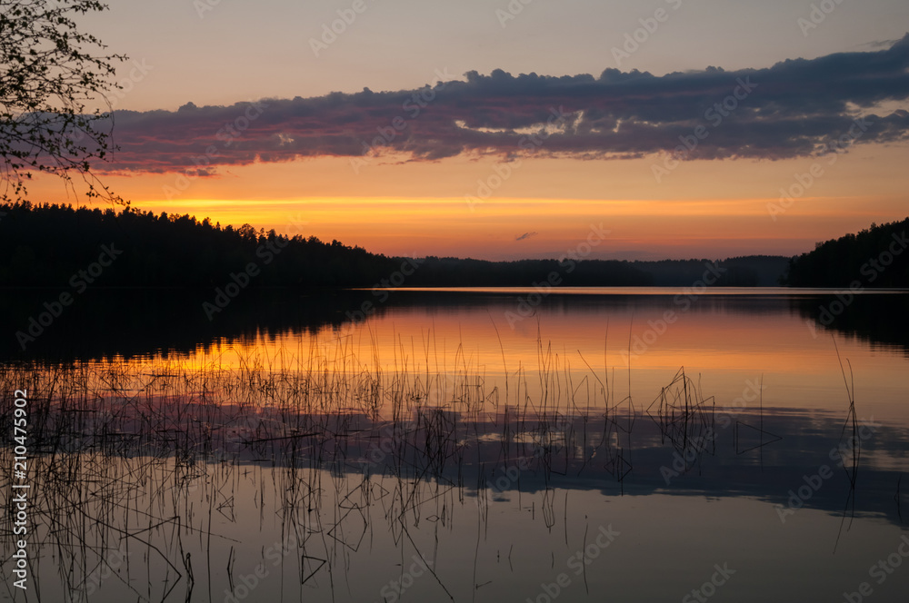 Beautiful sunset on the lake. Reeds in the water, forest and red orange and pink cloudy sky.