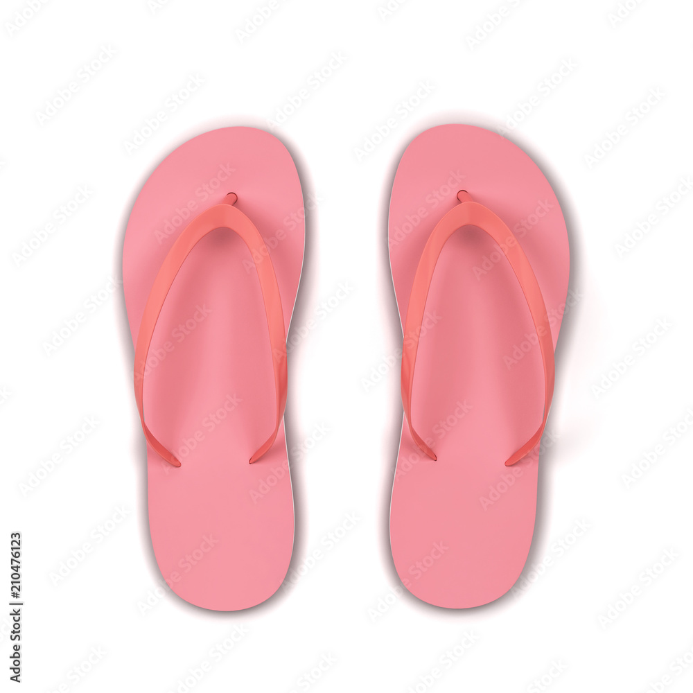 Pair of blank flip flops