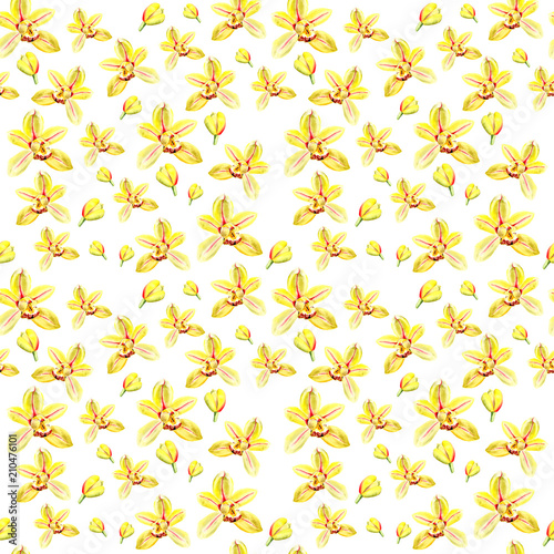 Botany illustration Watercolor yellow orchid flower on white background. Seamless watercolor pattern