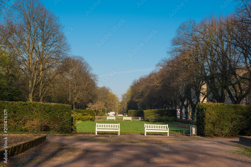 Fototapeta premium a park in city of Rostock in Germany
