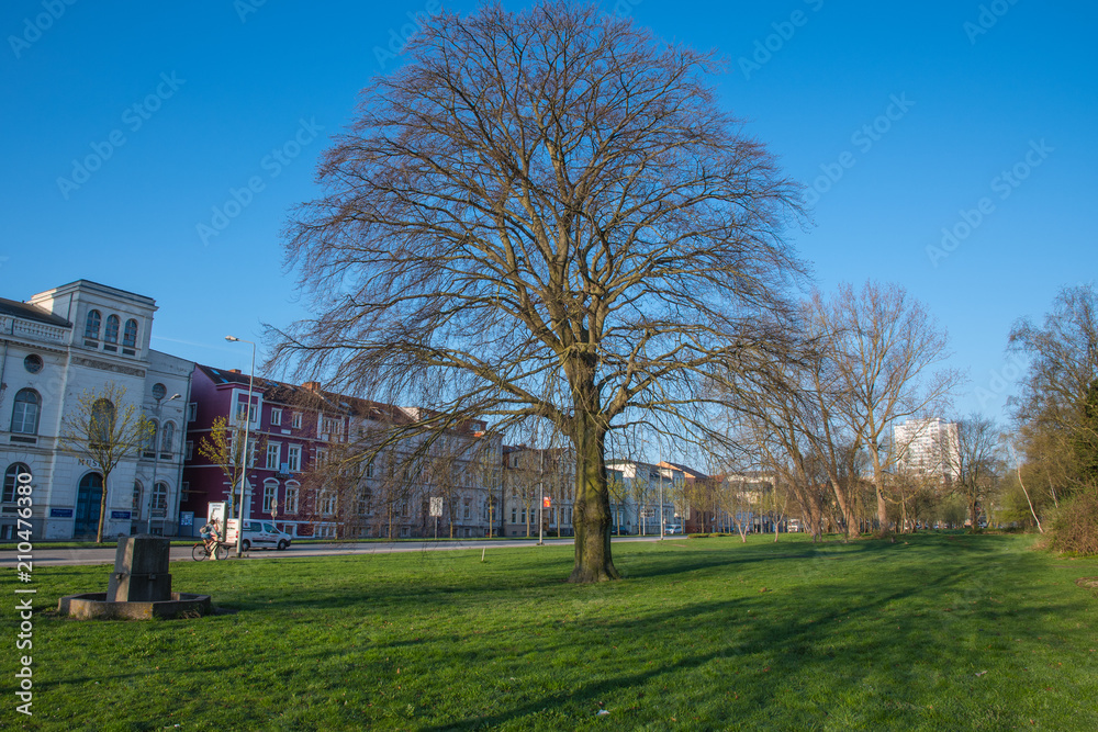 a park in city of Rostock in Germany a park in city of Rostock in Germany