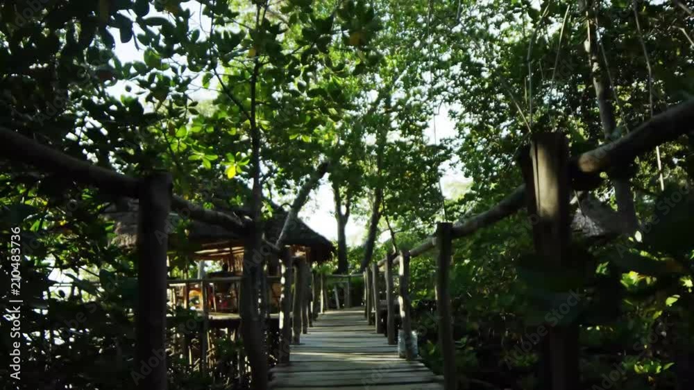 Walking over an African bridge in the Kenyan forest (Red.Cinema) (Slowmo) Walking over an African bridge in the Kenyan forest (Red.Cinema) (Slowmo)