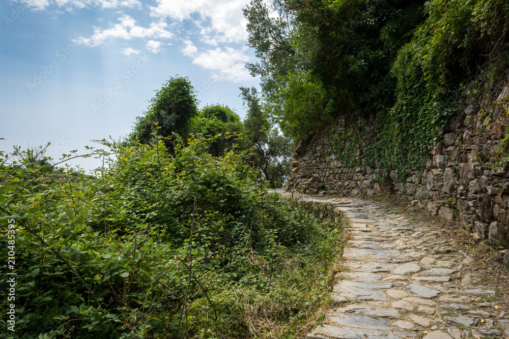 Horizontal View of the Path betewwn Corniglia and Vernazza at Summer. Horizontal View of the Path betewwn Corniglia and Vernazza at Summer.