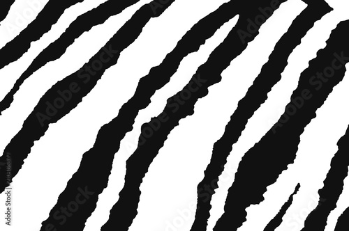 background of zebra black and white