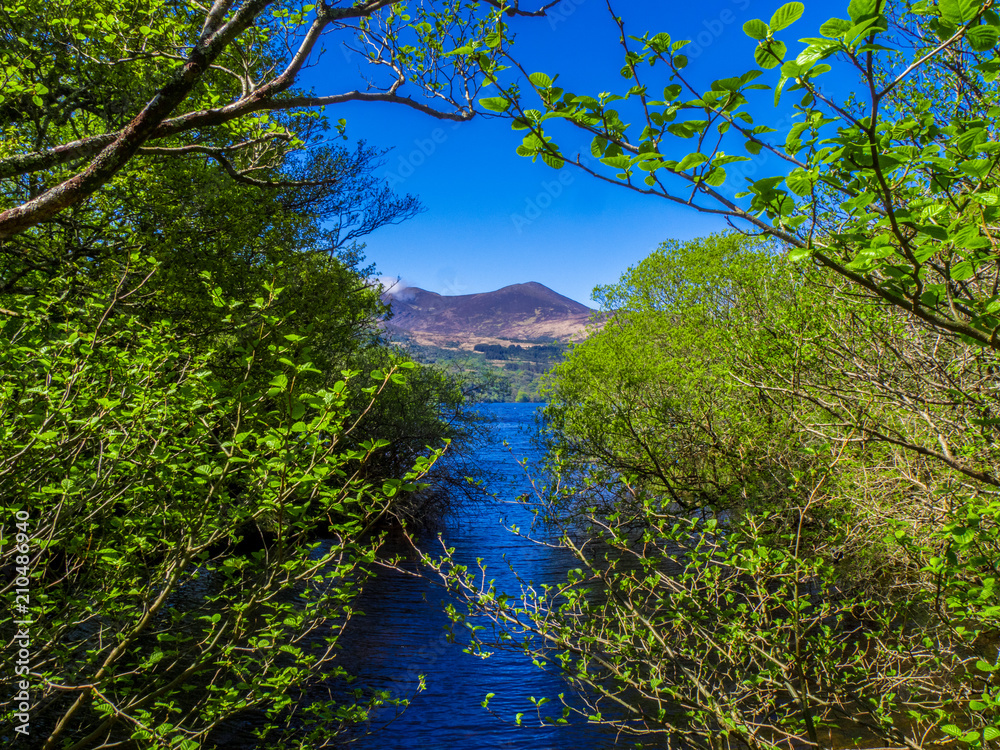 Killarney National Park - a beautiful place in Ireland Killarney National Park - a beautiful place in Ireland