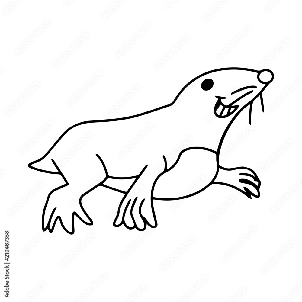 Seal cartoon illustration isolated on white background for children color book