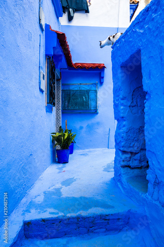 great side street with blue buildings | chefchaouen, morocco