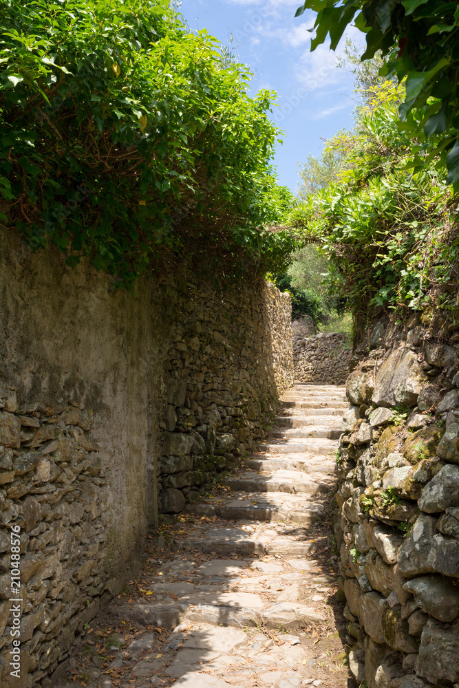 Vertical View of the Path between Corniglia and Vernazza at Summer. Vertical View of the Path between Corniglia and Vernazza at Summer.