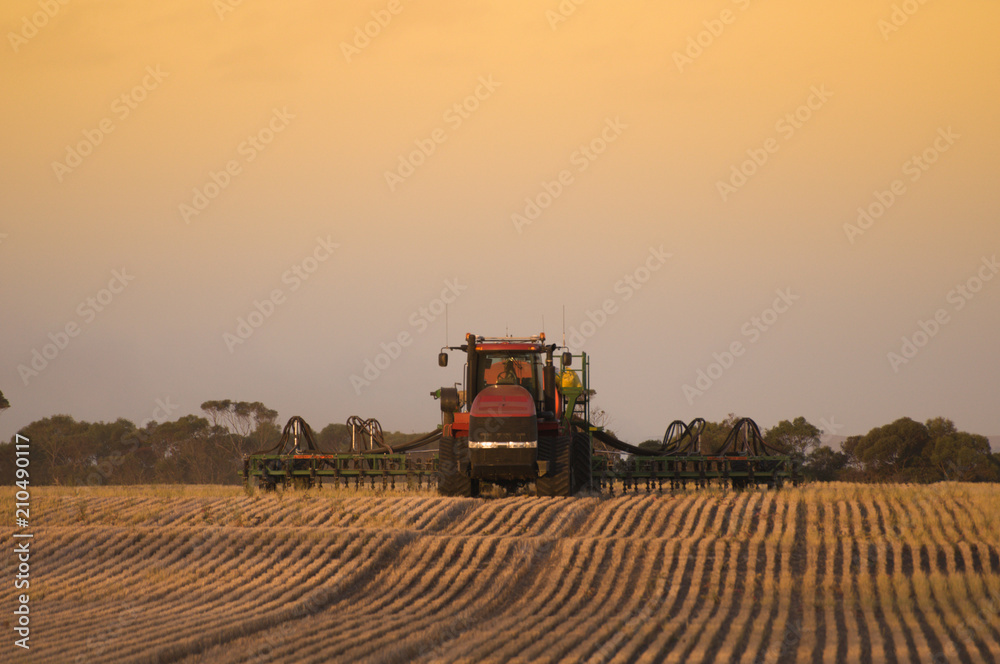 Fototapeta premium Seeding time