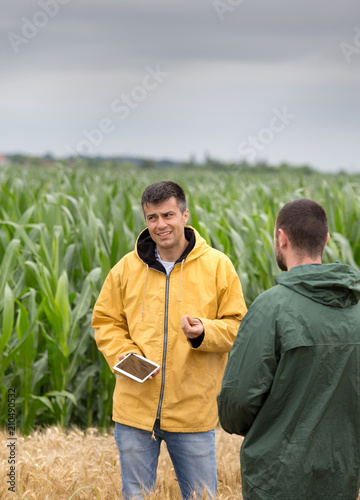 Farmers with tablet in barley field